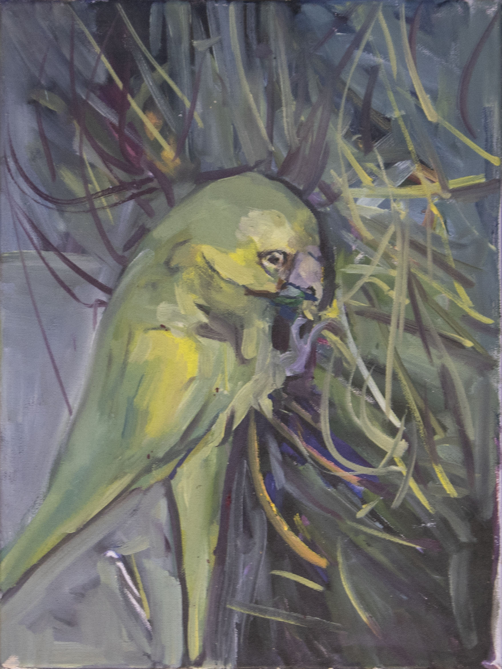 Bird Eating (2021)