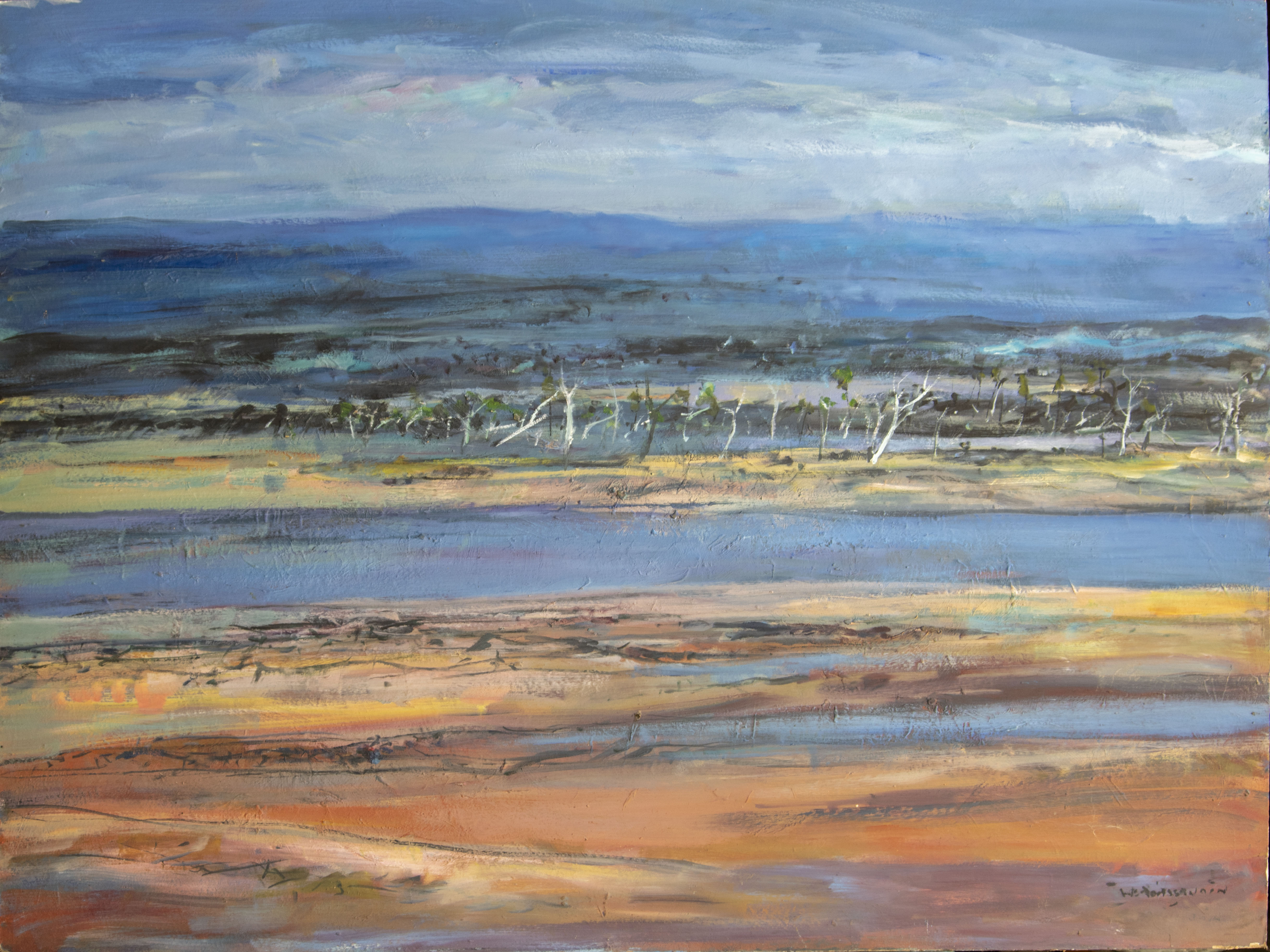 Outback Landscape (2018)