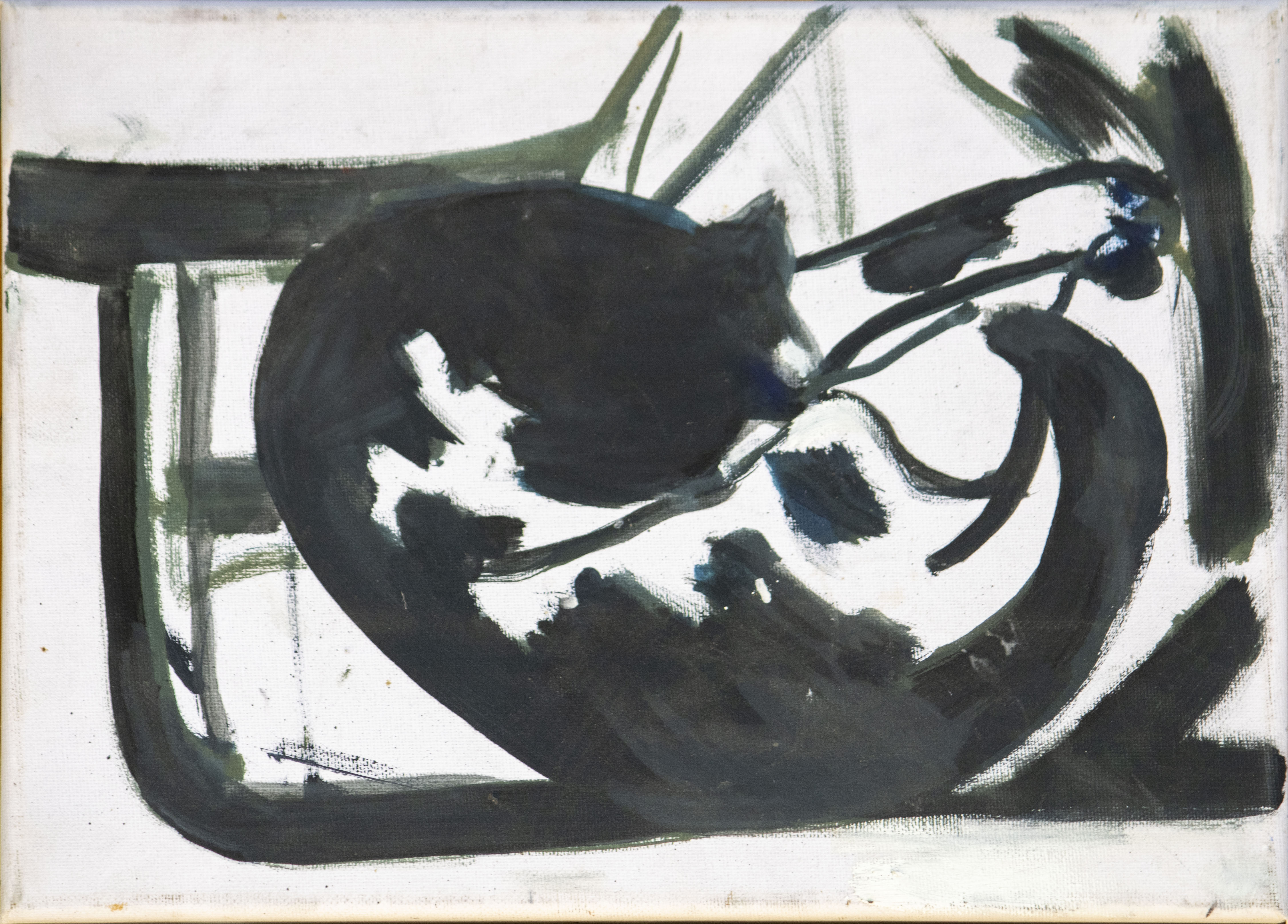 Black And White Cat (2018)